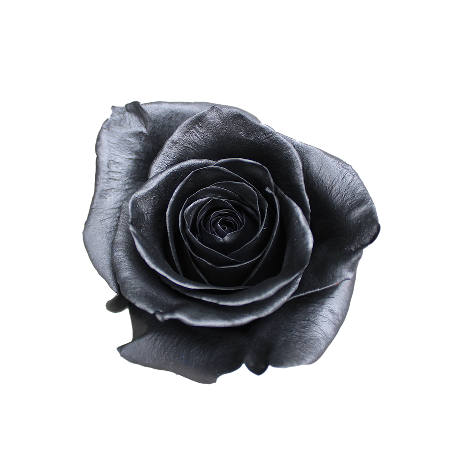Bunch of 25 Roses (60cm)