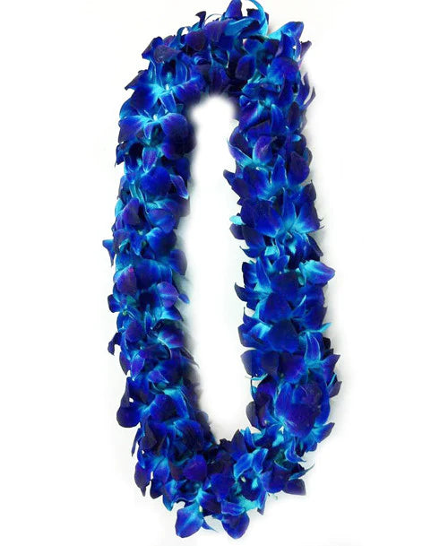Orchid Graduation Lei