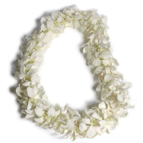 Orchid Graduation Lei