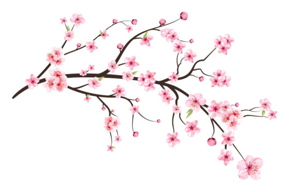 Peach blossom
