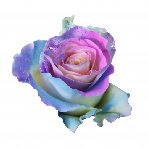 Mother's Day Pre-Order (Florist)