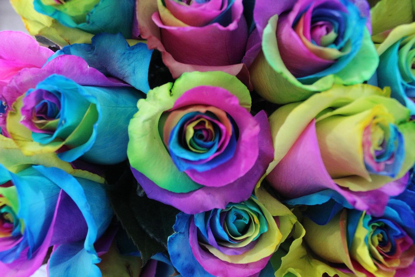 Tinted Roses