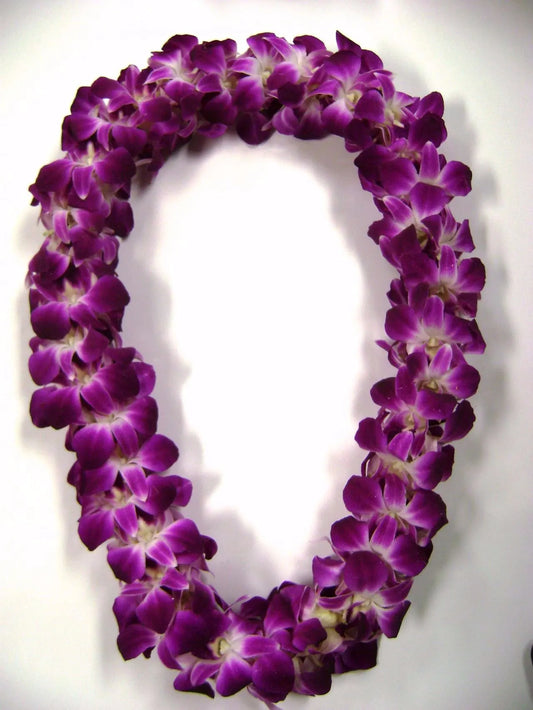 Orchid Graduation Lei