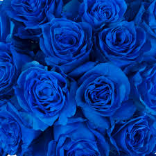 Tinted Spray Roses
