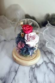 Beauty and Beast Globe Roses