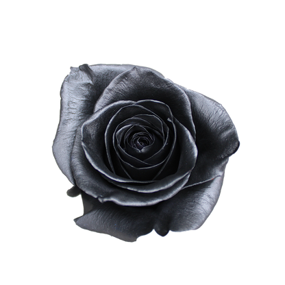 Bunch of 25 Roses (60cm)