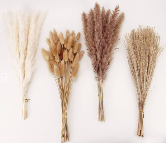 Natural Dried (Dry) Flowers