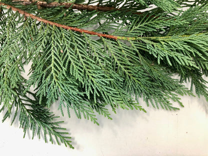 Christmas Greens