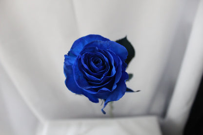 Bunch of 25 Roses (60cm)