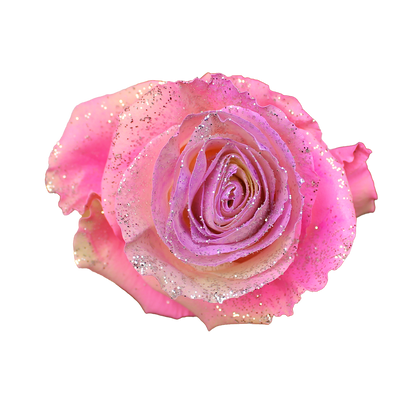 Bunch of 25 Roses (60cm)