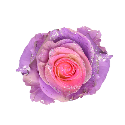 Bunch of 25 Roses (60cm)