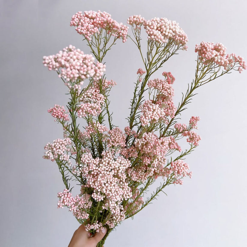 Rice – United Flower Wholesale